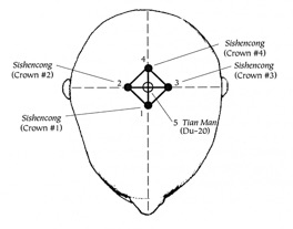 Crown Chakra Points